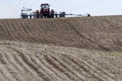 Planting-cornsoy_1_1.jpg