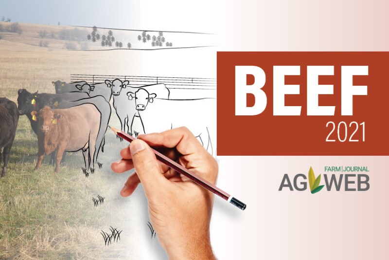 Beef outlook