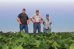 Three generations of Uphoffs, from left: Philip, John and Paul, raise continuous soybeans in north-central Illinois.