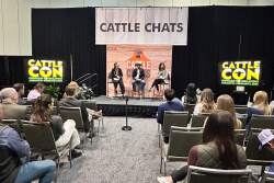 Cattle Chats2.jpg