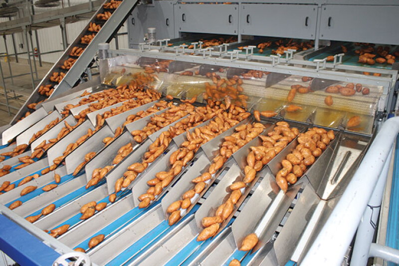 Matthews Ridgeview Farms has been packing on its new line for its second season in 2020. The all-automated electronic sizing line allows the company to expand its customer base and help existing customers boost sales, says Autumn Campbell, sales manager.