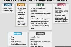 Paul Neiffer is a tax principal with CliftonLarsonAllen and author of the blog, The Farm CPA. He owns a farm in Washington.