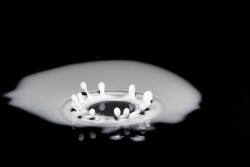 milk_splash.jpeg