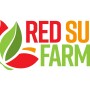 Red Sun Farms logo