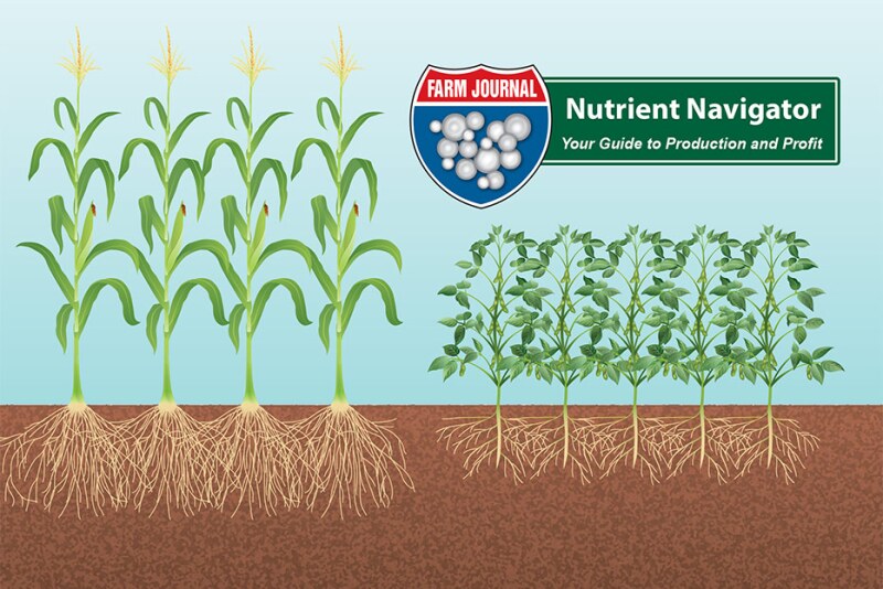 Nutrient Navigator Series