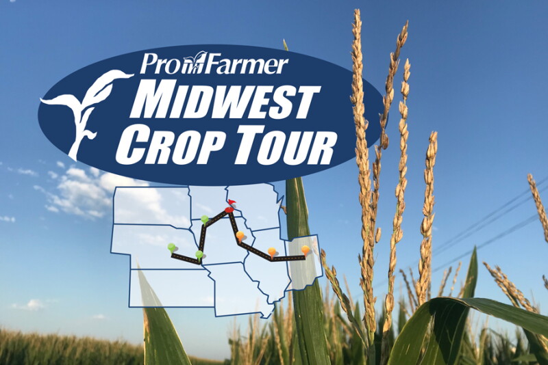 As Pro Farmer Crop Tour scouts descended on Illinois corn and soybean yields were shocking—and not in a positive way.