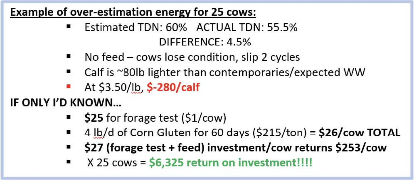 Calving Questions 3 Nutritional Questions to Consider Prior to Calving - Drovers