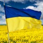 Ukraine Ag Flag_AdobeStock