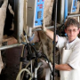 Dairy_Worker