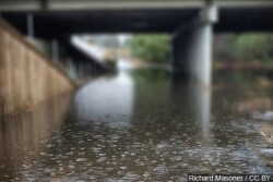 Heavy rains have brought flooding to the lower Mississippi River.