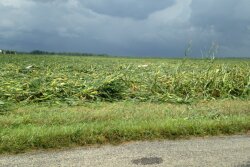 tornado damage near Mace, Indiana