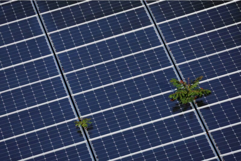 USDA Ends Programs for Solar, Wind Projects On Farms - AgWeb