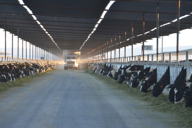 Correct feeding practices is critical to cow performance.