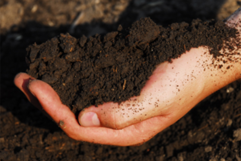 Land O’Lakes is aiming to straighten the path as much as possible for more farmers to adopt more regenerative practices across their acres, and in doing so building a wider funnel of farmers who could enroll in carbon markets and other new revenue streams. 