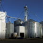 The end goal is to streamline the reporting process as part of the Multiple Peril Crop Insurance (MPCI) program. 