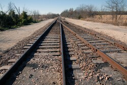 Leaders of trade organizations representing hundreds of Michigan businesses called on Congress to intervene in the rail labor dispute that threatens to shut down America’s freight rail network in early December. 