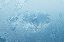 Frost