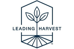 lh logo