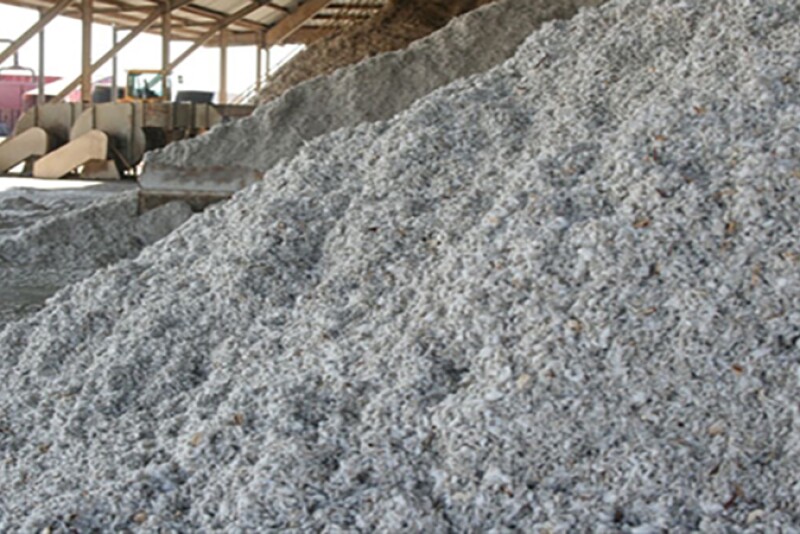 Whole cottonseed supply is estimated to be about 1 million tons more than last year. 