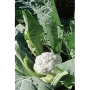 48C5D84E-B5FD-41EE-B701407ED83D6BFC.png