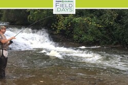 Fall fly fishing for salmon.