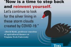 How will the COVID-19 pandemic transform agriculture? David Kohl, professor emeritus of agricultural finance at Virginia Tech University, has a few ideas.
