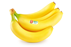 18E5544C-9EE1-4497-9C144A19D7F5A7BD.png