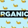 Organic produce Q2 2022