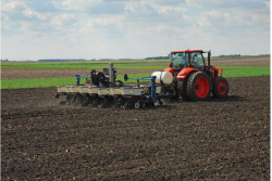 planting