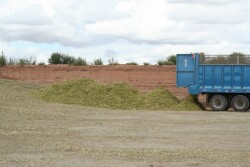 Safety training will cover safety considerations and risks at various stages of silage production, storage and use. 