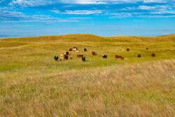 Nebraska Sandhills
