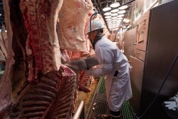 Meat processing