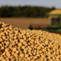 Both supply concerns and a boost in demand are helping to support commodity prices, but is now the time to sell? U.S. Farm Report marketing analysts weigh in. 