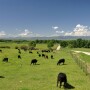 Elk Range Ranch