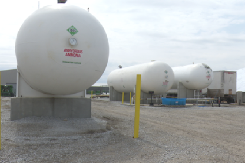anhydrous