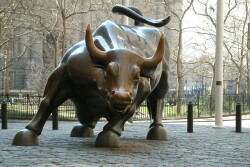 Bull market