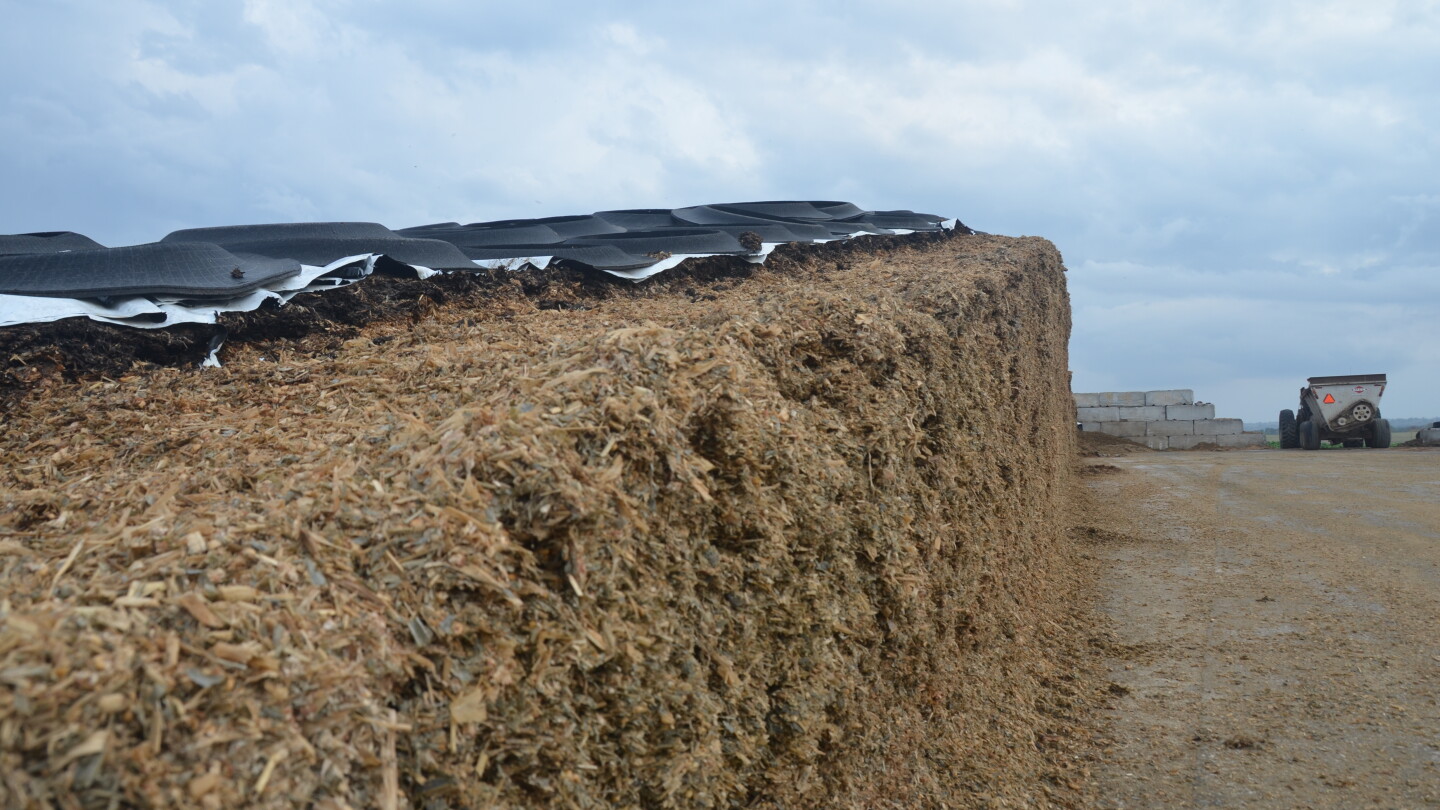 Open Silage Stack Spring is the Time to Inspect Silage Storage - Dairy Herd