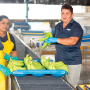 Chiquita has implemented a program to empower women who work for its Latin American banana plantations.