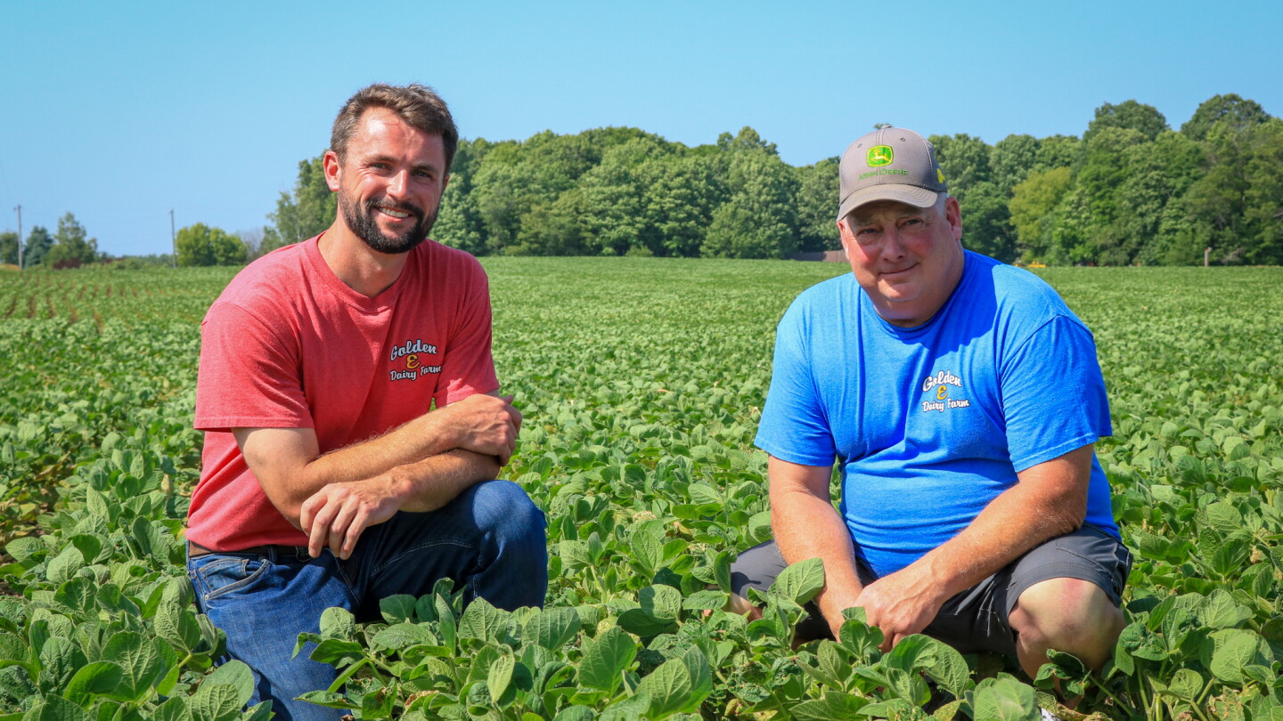 Why One Dairy Bet Big on High-Oleic Soybeans
