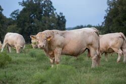 Breeding season is just weeks away