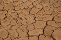 Drought