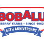 bobalu-logo-(002).jpg