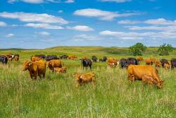 Duck Bar Ranch