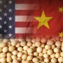 U.S. soybean sales to China