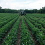 FBN says the company was forced to vertically integrate glyphosate production, a decision that was not only time-consuming, but costly. And in 2022, that investment is paying off. 