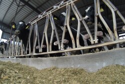 Producers from Iowa, Minnesota, Illinois and Wisconsin will benefit from informational conference.