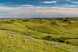Prairie Dog Ranch