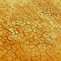 drought