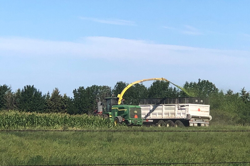 NDSU-Silage-840.jpg