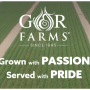 G&R Farms website.PNG